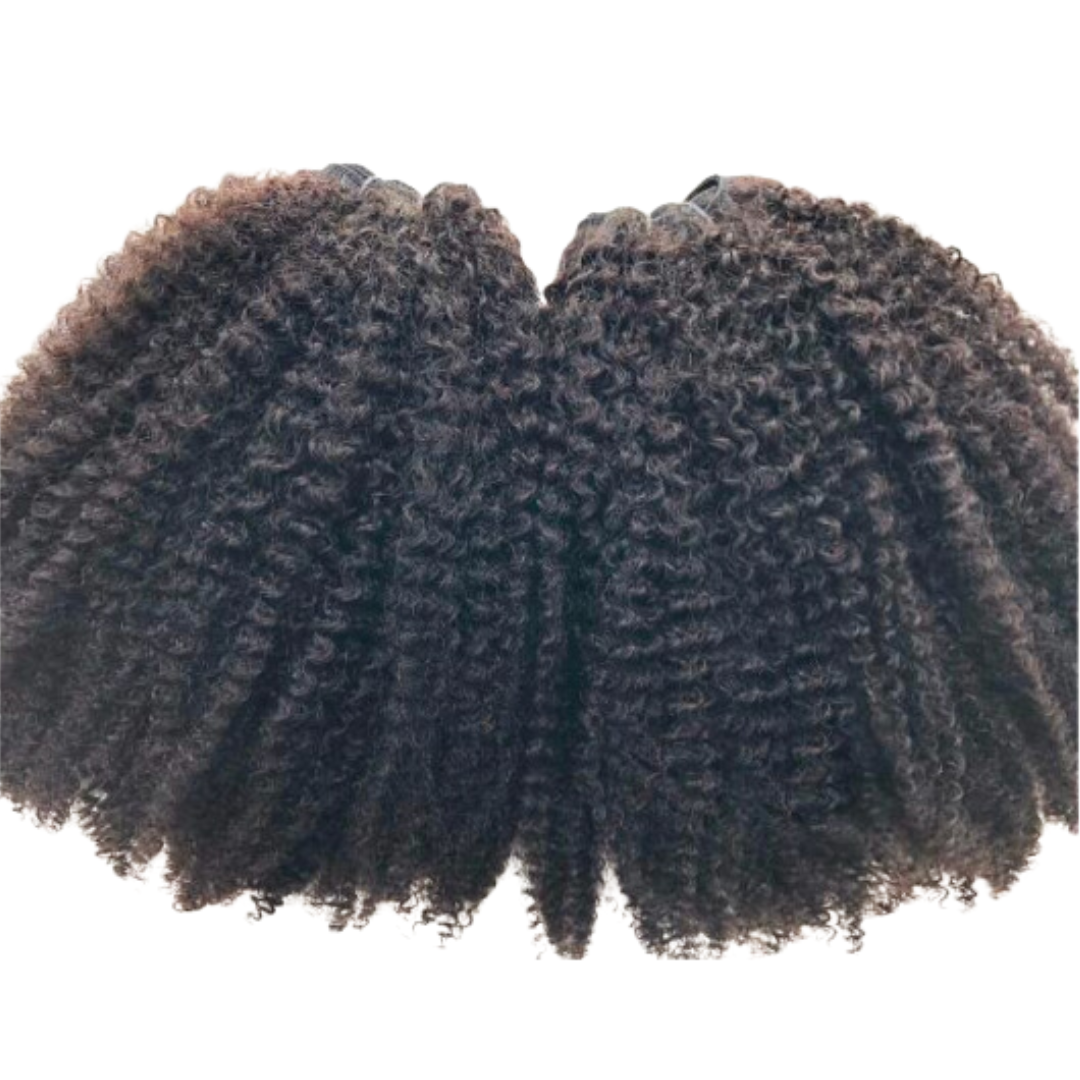 Afro Kinky Curly Bundles